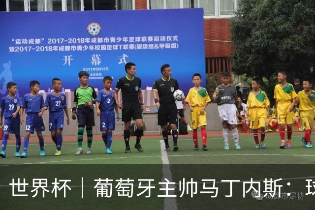 世界杯｜葡萄牙主帅马丁内斯：球队需要进球时换下C罗毫无道理